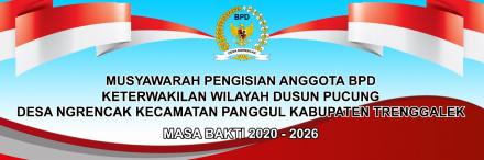 Musyawarah Bersama Pengisian Anggota BPD Keterwakilan Dusun Pucung
