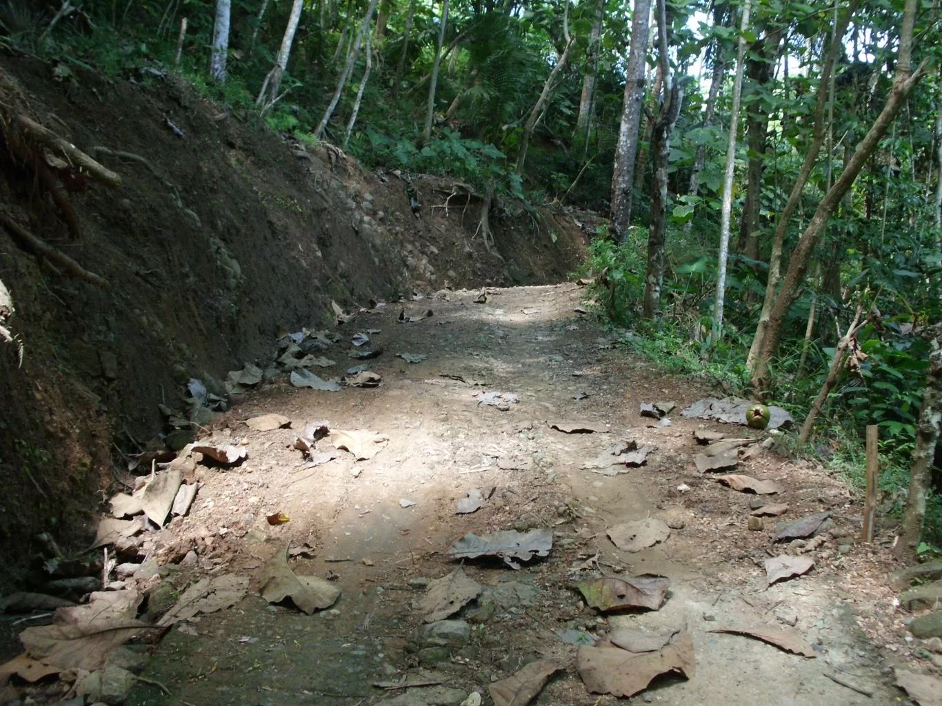 PEMBANGUNAN RABAT JALAN RT 06 RW 02 DUSUN WONOGONDO DESA NGRENCAK